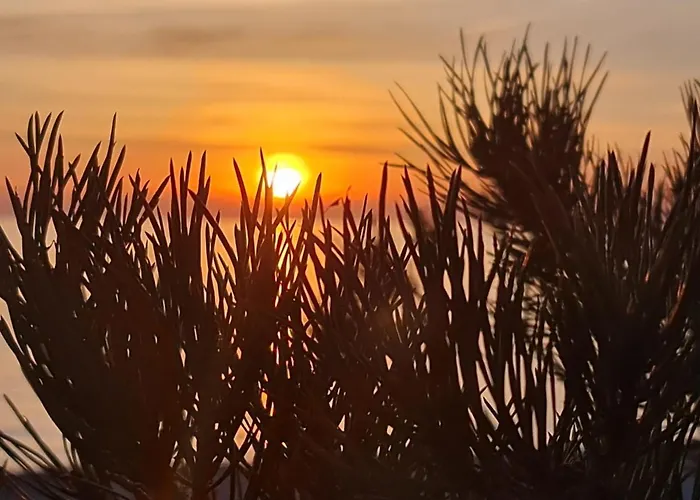 Quality Rest In Giruliai * Κλαϊπέντα