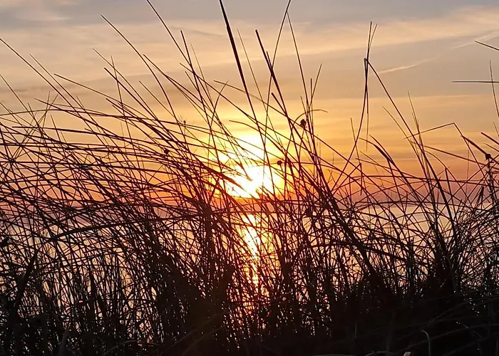 Διαμέρισμα Quality Rest In Giruliai